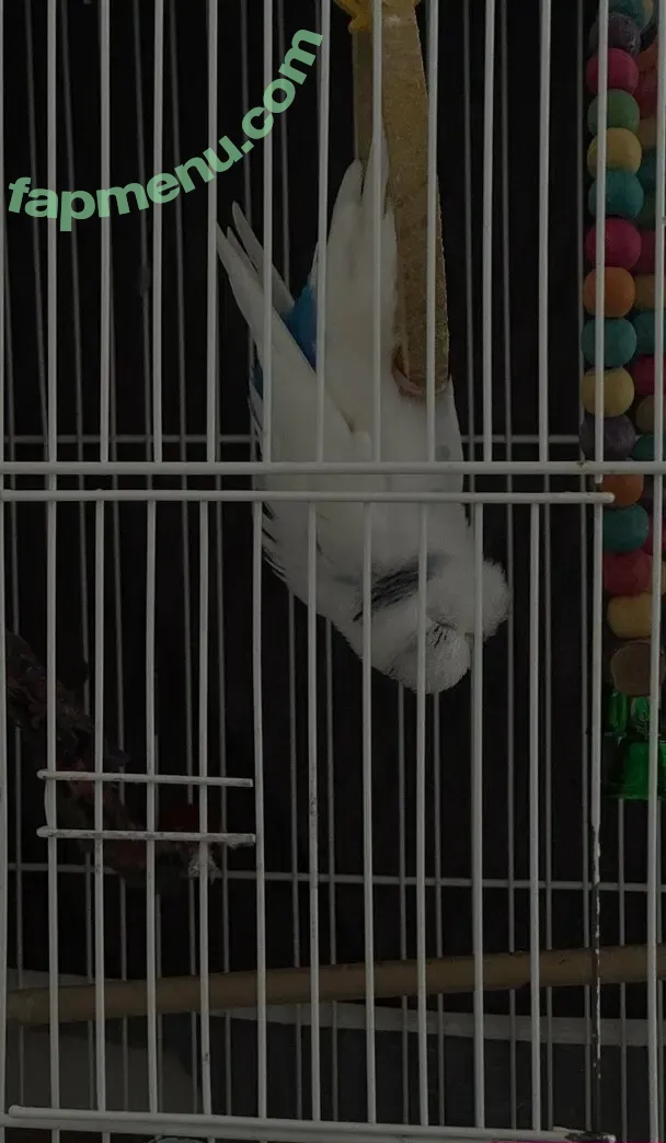 Dionkadi nude photo #0167 (dionkadi_)