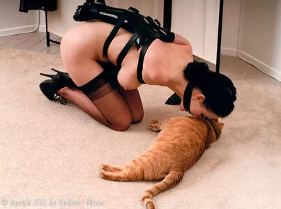 Dita Von Teese / Ditavonteese / creepy___spice nude photo #2205