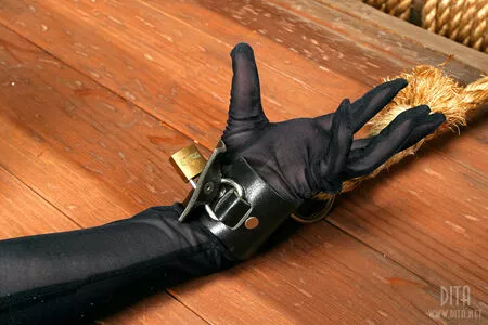 Dita Von Teese / Ditavonteese / creepy___spice nude photo #2454