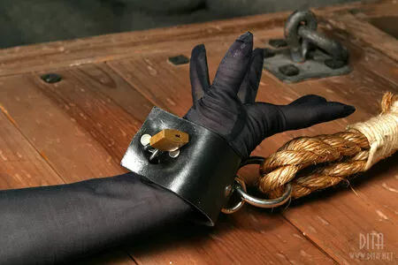 Dita Von Teese / Ditavonteese / creepy___spice nude photo #2455