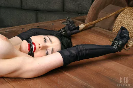 Dita Von Teese / Ditavonteese / creepy___spice nude photo #2533