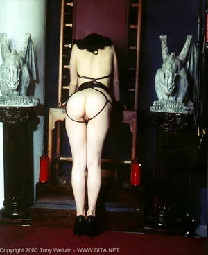 Dita Von Teese / Ditavonteese / creepy___spice nude photo #2561