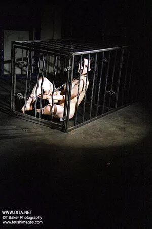 Dita Von Teese / Ditavonteese / creepy___spice nude photo #2604