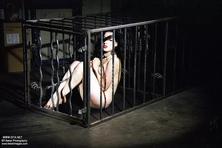 Dita Von Teese / Ditavonteese / creepy___spice nude photo #2630