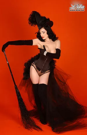 Dita Von Teese / Ditavonteese / creepy___spice nude photo #2759