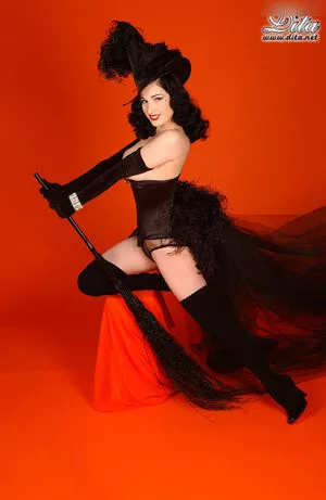 Dita Von Teese / Ditavonteese / creepy___spice nude photo #2762