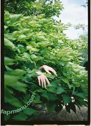 Dixowho / droshow nude photo #0085