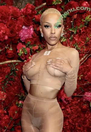 Doja Cat / DojaCat nude photo #1529