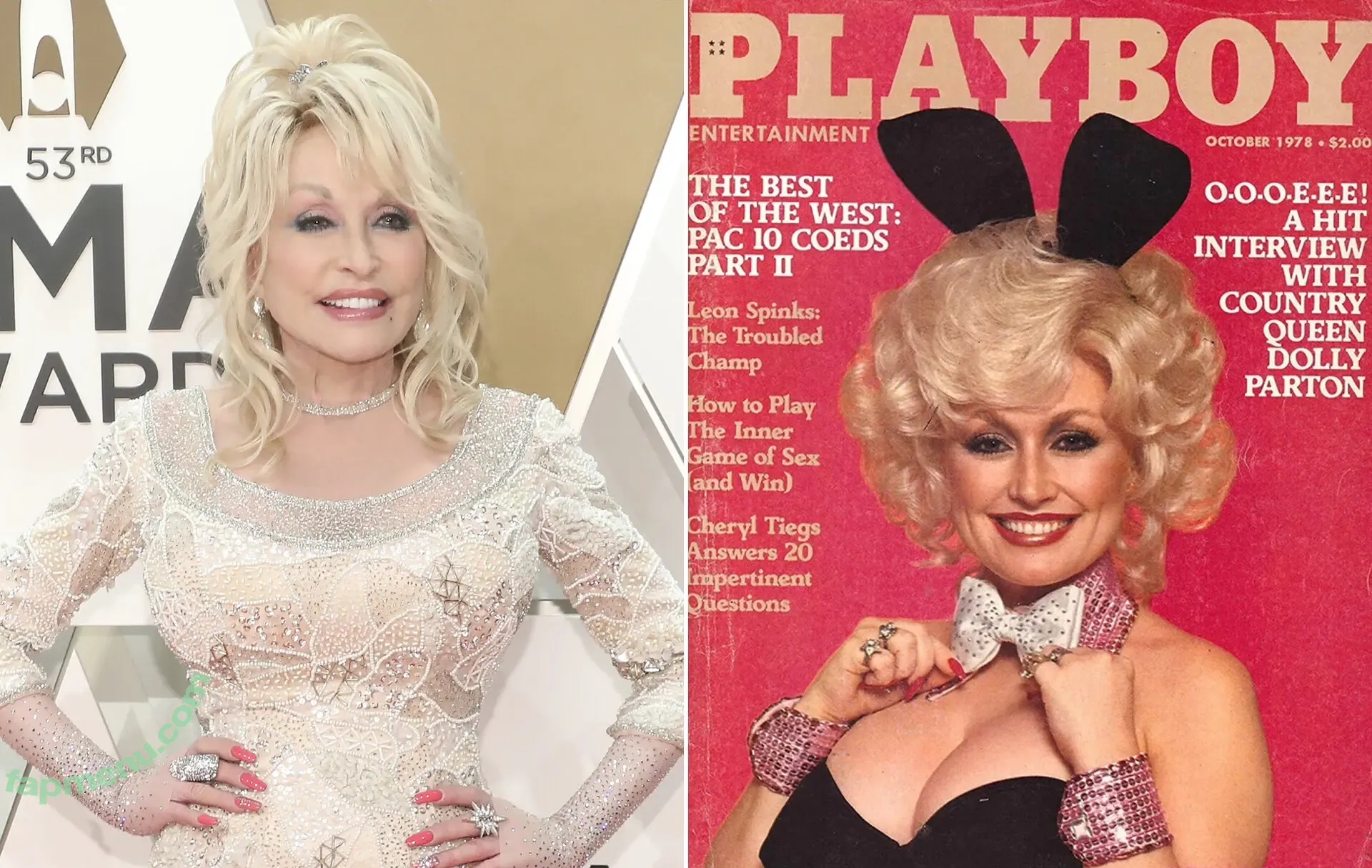 Dolly Parton nude photo #0005 (Dolly Parton)