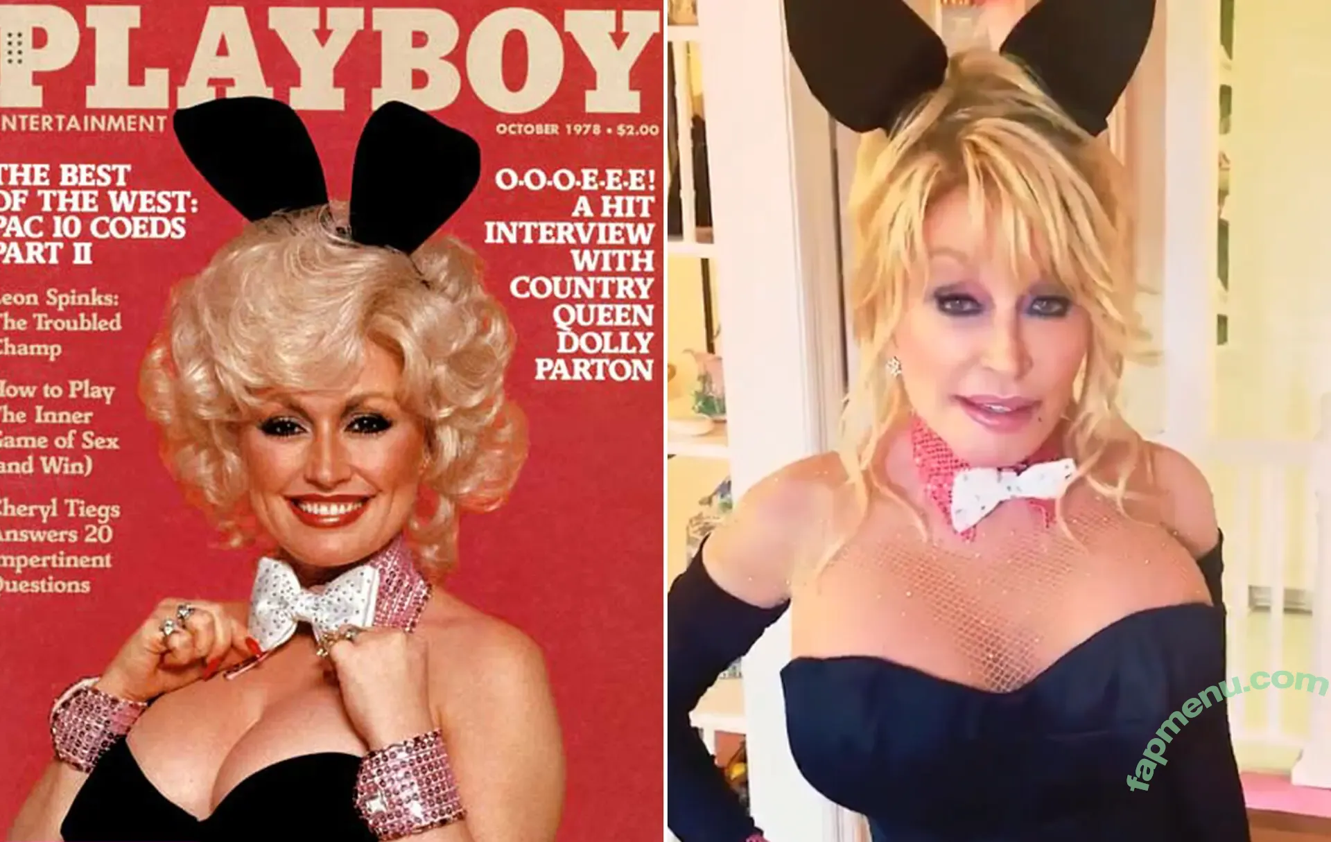 Dolly Parton nude photo #0015 (Dolly Parton)