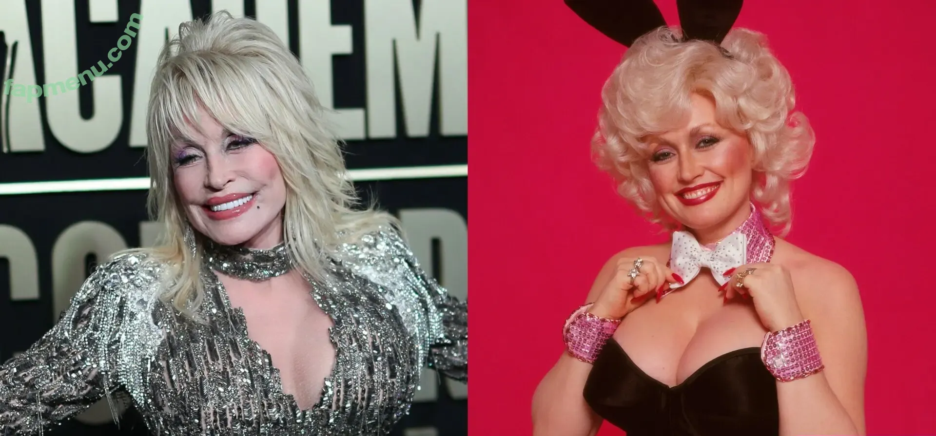 Dolly Parton nude photo #0022 (Dolly Parton)