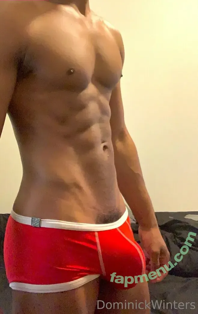 dominickwinters nude photo #0020 (dominick.winters)