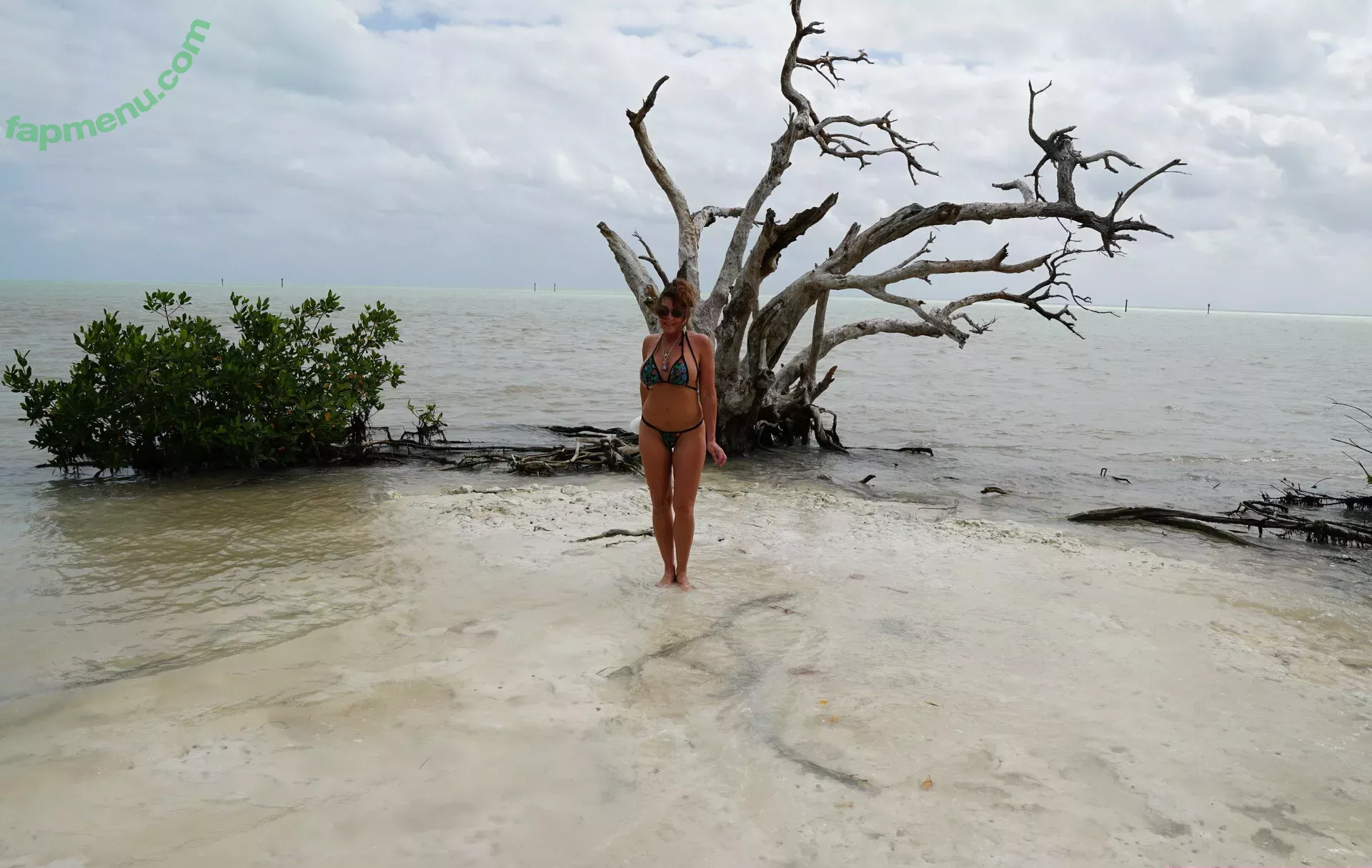 dreampixsxm nude photo #0031 (_ssweetdream_)