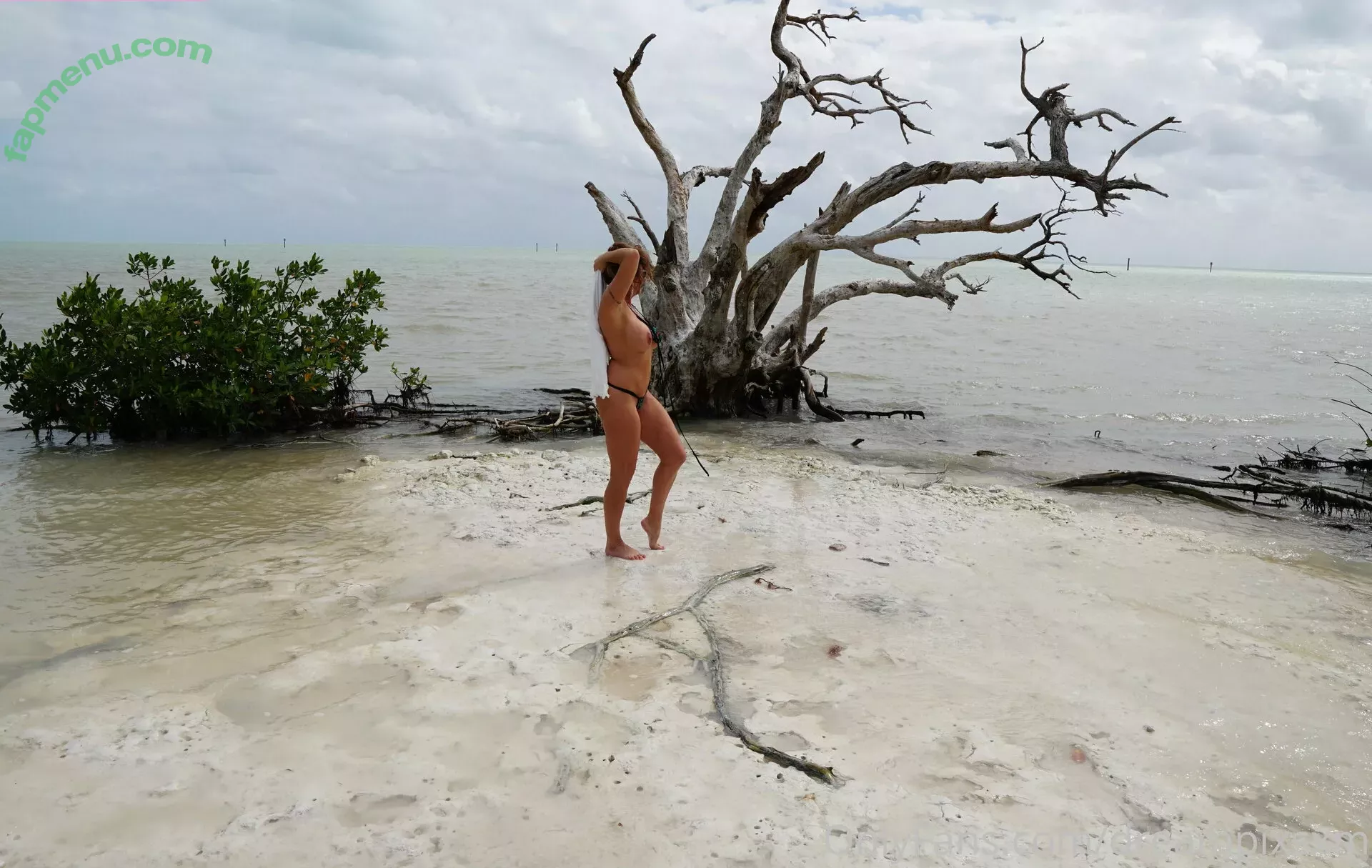 dreampixsxm nude photo #0033 (_ssweetdream_)