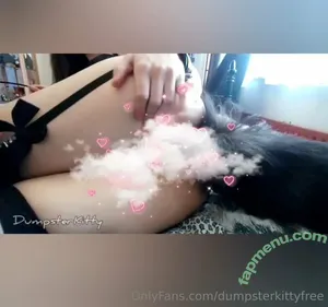 dumpsterkittyfree / dumpsterkitty nude photo #0061