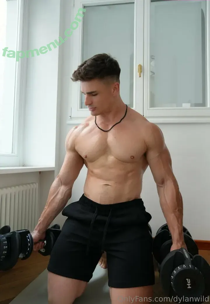 dylanwild nude photo #0002 (thewildylan)