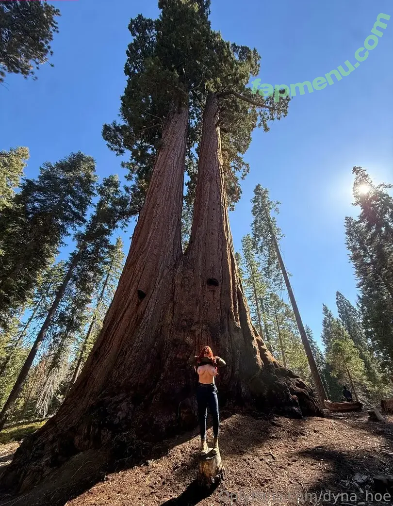 Dyna_hoe nude photo #0022 (Dyna Hoe)