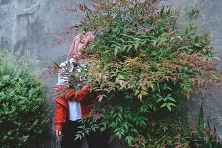 eeelyeee / Ely Cosplay / Ely_eee nude photo #0951