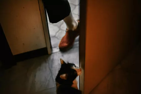 eeelyeee / Ely Cosplay / Ely_eee nude photo #0957