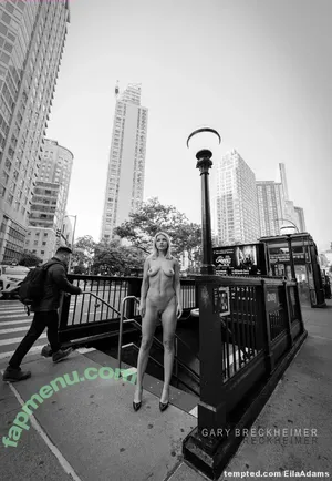 Eila Adams / eilaadams / flexapeeler nude photo #0152