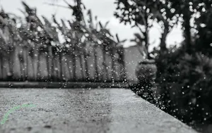 Ekatarina Zueva / zuueva nude photo #0100