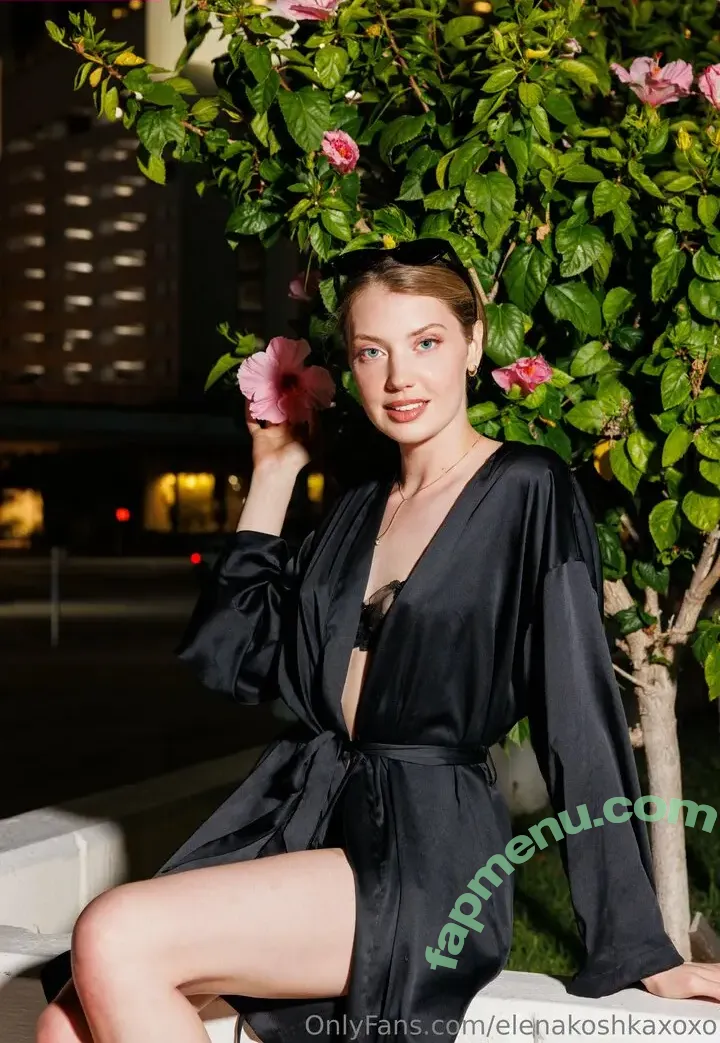 Elenakoshkaxoxo nude photo #0378 (therealelenakoshka)