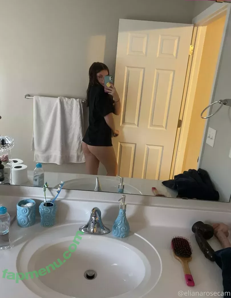 Eliana Rose nude photo #0160 (averyburnette / elianarosecam)