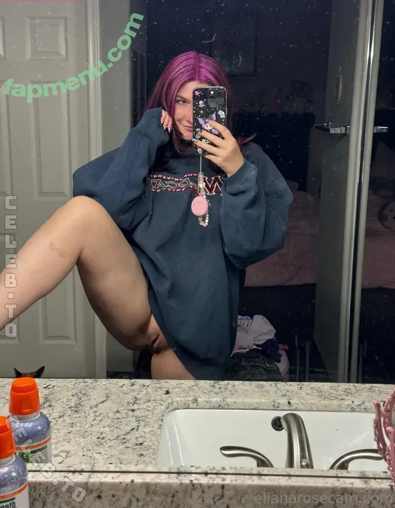 elianarose nude photo #0196 (elianarosecam / elibuggg)