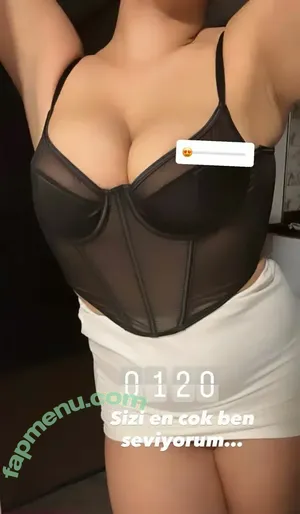 Elif Karaarslan / elifkaraarslan_17 nude photo #0373