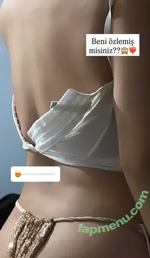 Elif Karaarslan / elifkaraarslan_17 nude photo #0436