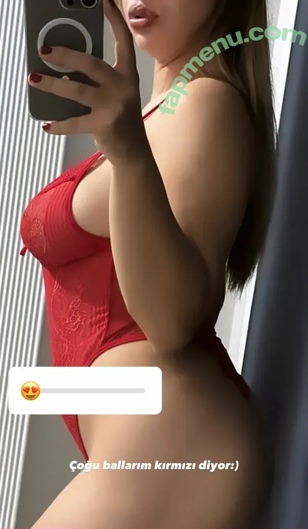 Elif Karaarslan nude photo #0437 (elifkaraarslan_17)