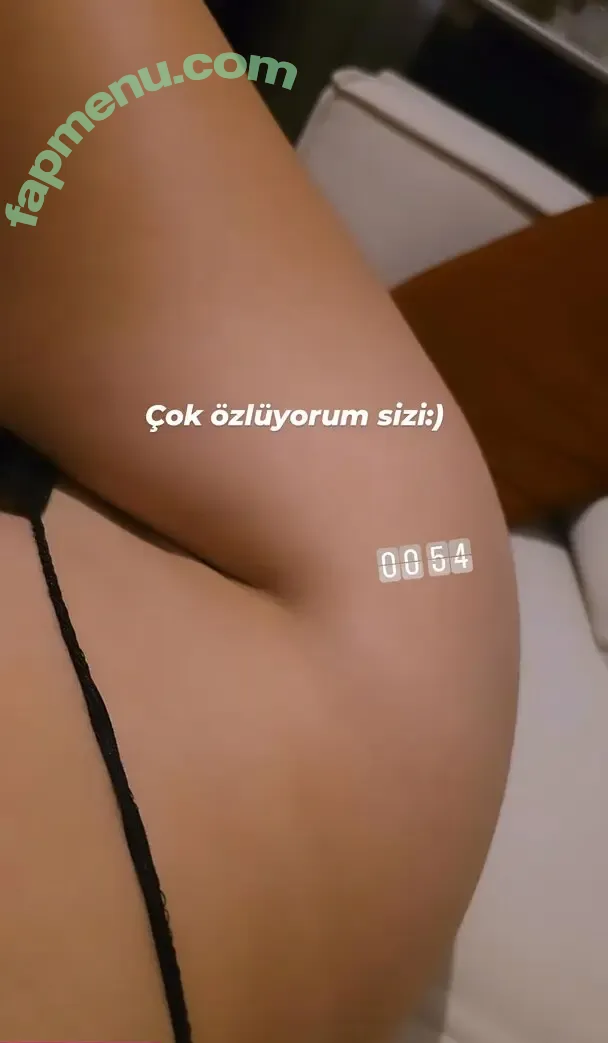 Elif Karaarslan nude photo #0502 (elifkaraarslan_17)