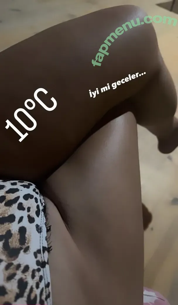 Elif Karaarslan nude photo #0583 (elifkaraarslan_17)