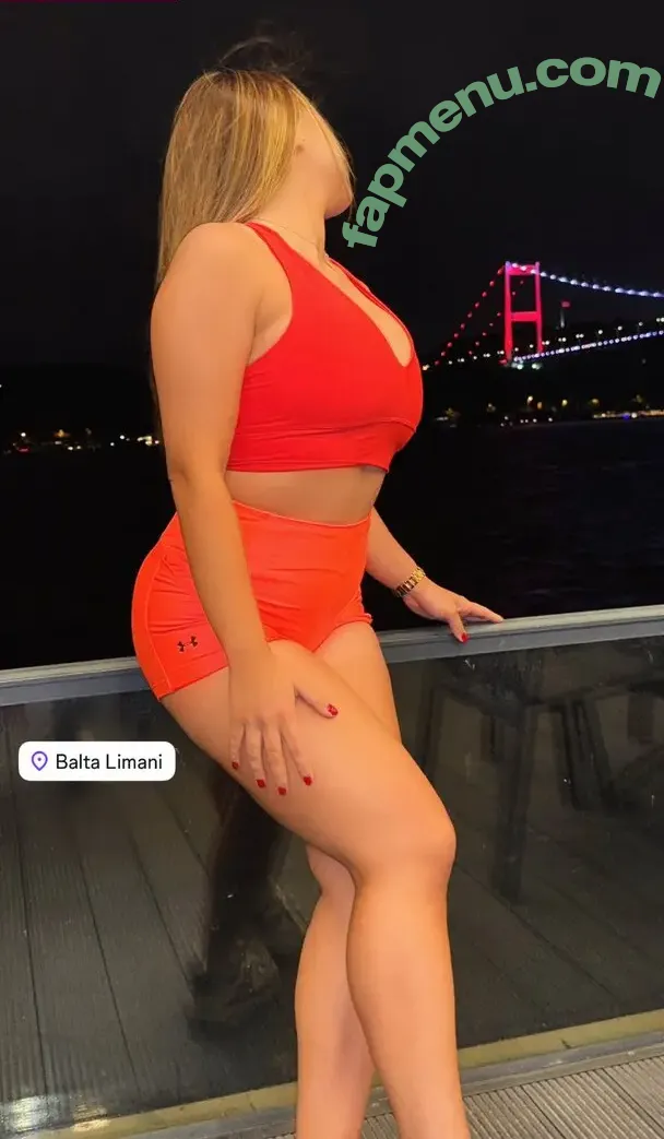 Elif Karsalaan nude photo #0007 (elifkaraarslan_17)