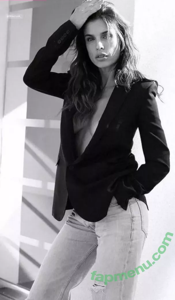 Elisabetta Canalis nude photo #0979 (JustElisabetta / littlecrumb_)