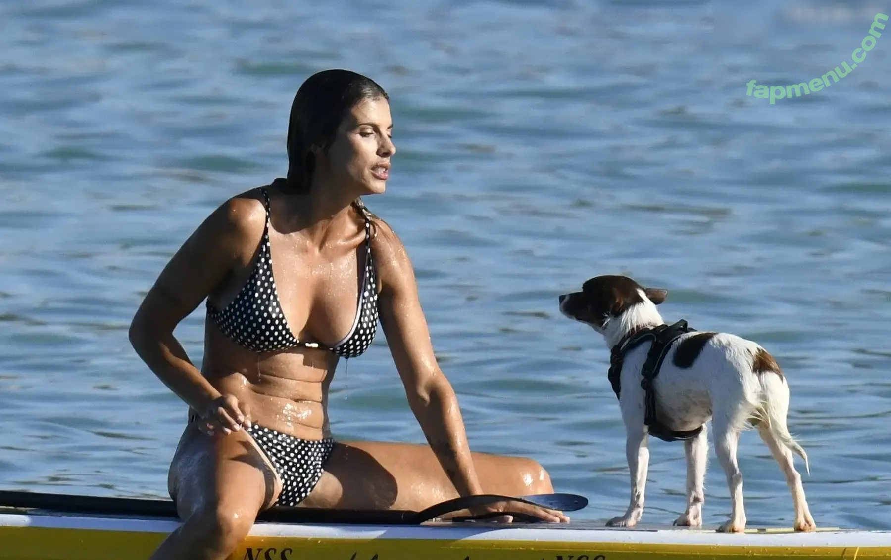 Elisabetta Canalis nude photo #1534 (JustElisabetta / littlecrumb_)