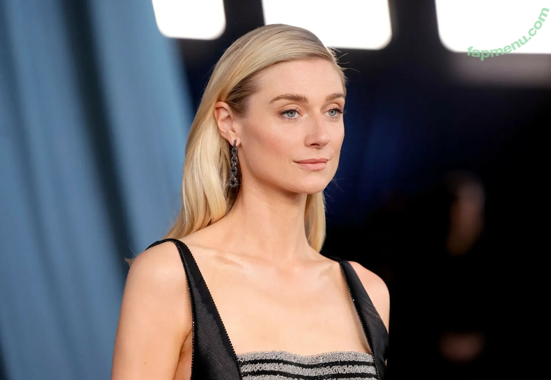 Elizabeth Debicki nude photo #0382 (elizabethdebickinators)