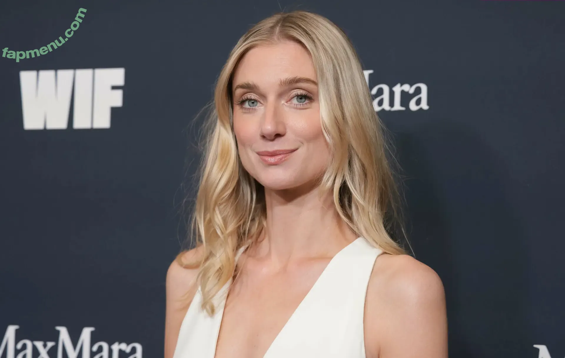 Elizabeth Debicki nude photo #0399 (elizabethdebickinators)