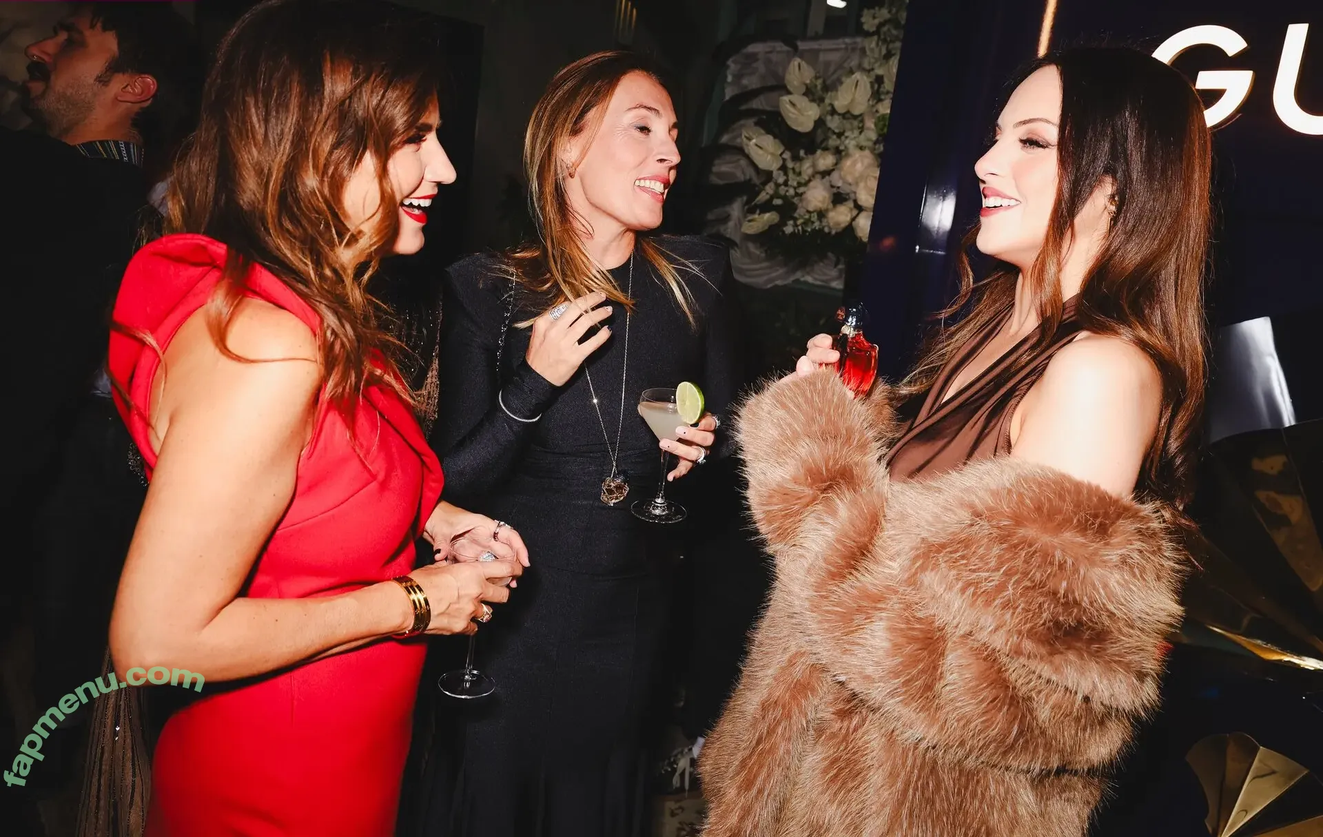 Elizabeth Gillies nude photo #0681 (lizgillz)