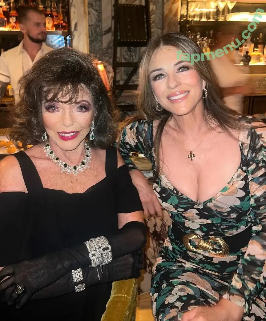 Elizabeth Hurley nude photo #0676 (elizabethhurley1)