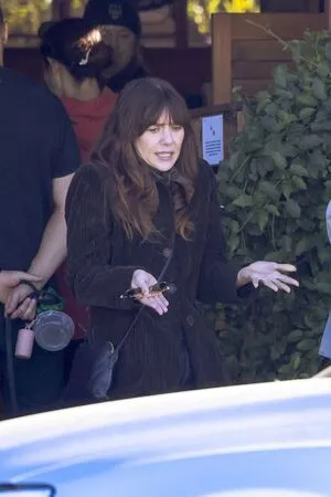 Elizabeth Olsen / elizabetholsendaily / lizabeth_olsen nude photo #2125