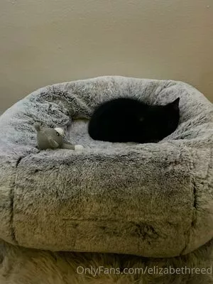 Elizabeth Reed / KawaiiiKitten / KawaiiiKitty / elizabethreed / hi_its_elizabeth_reed nude photo #0822