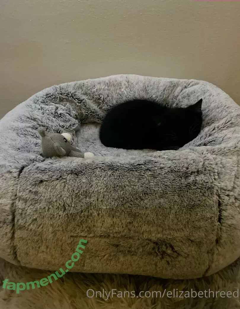 Elizabeth Reed nude photo #0822 (KawaiiiKitten / KawaiiiKitty / elizabethreed / hi_its_elizabeth_reed)