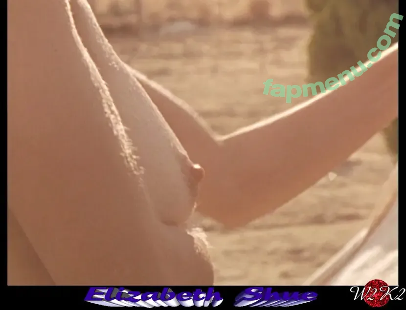 Elizabeth Shue nude photo #0014 (elisabthshue)