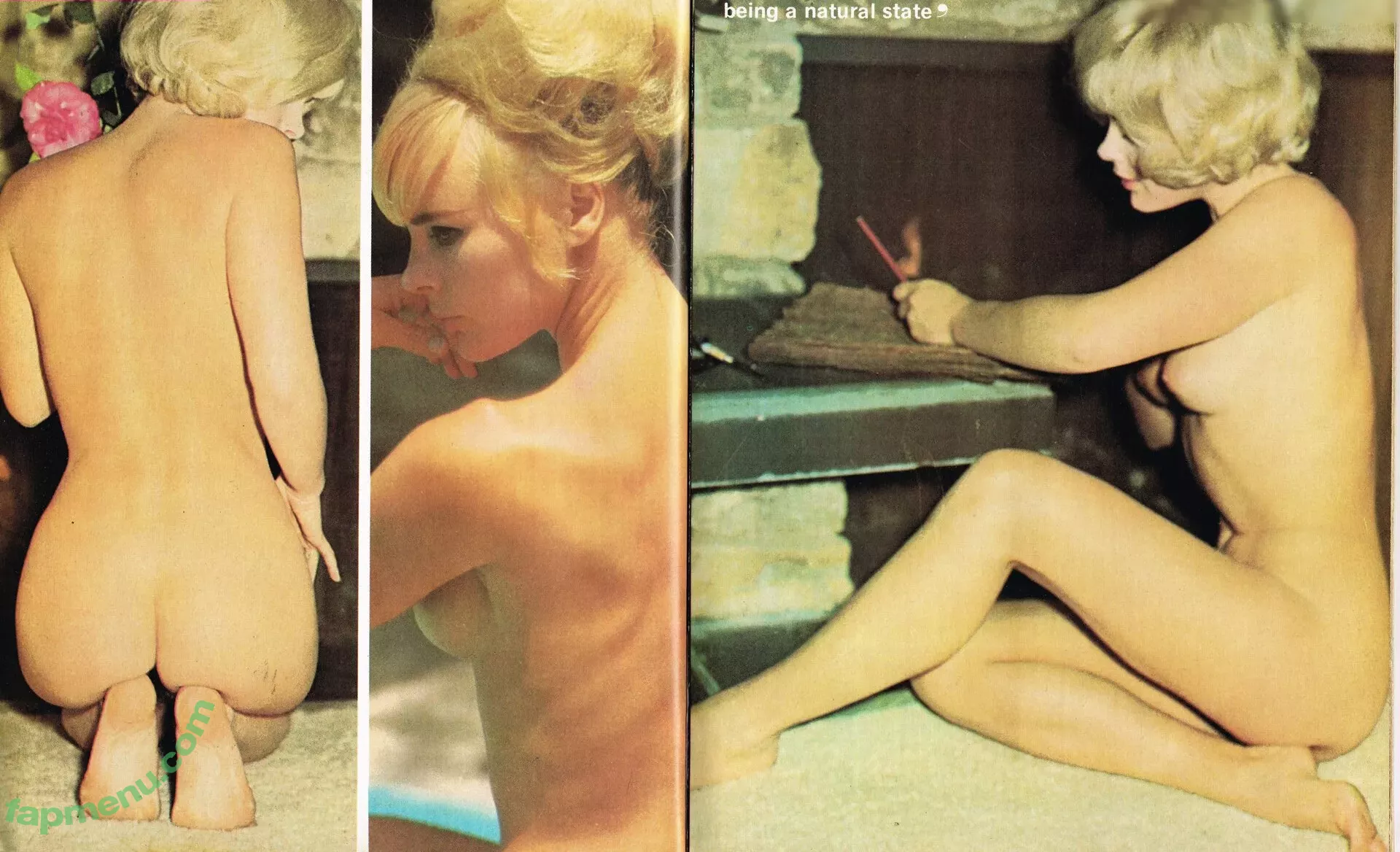 Elke Sommer nude photo #0079 (elkesommerspecial)