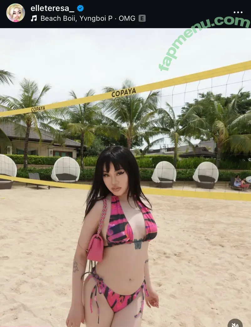 Elle Teresa ???????? nude photo #0004 (elleteresa_)