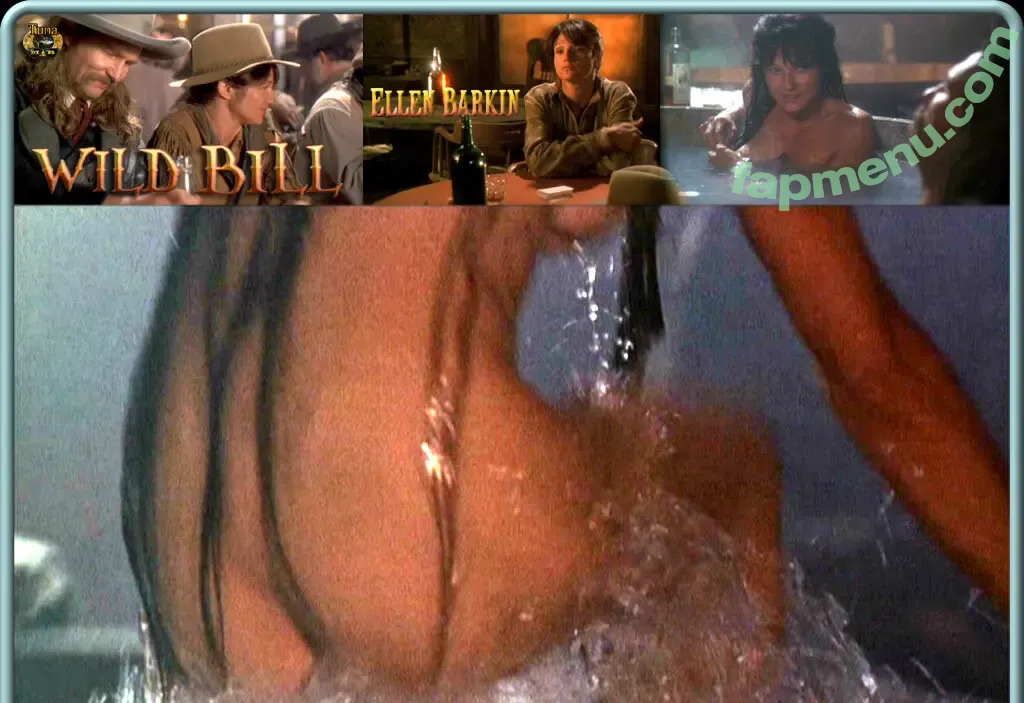 Ellen Barkin nude photo #0022 (ellen_barkin2004)