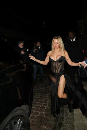 Ellie Goulding / elliegoulding / zarinamae nude photo #0691
