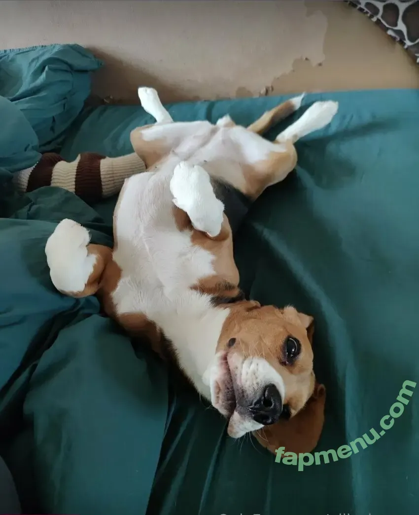 ellie_hunny nude photo #0151 (elliegamer / gamer_elliee)