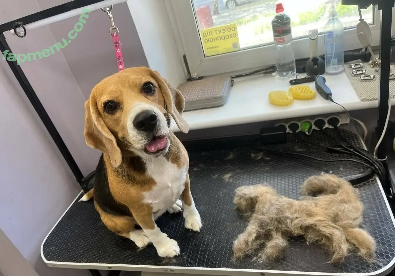 ellie_hunny nude photo #0158 (elliegamer / gamer_elliee)